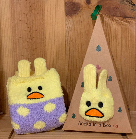 Ducky Socks in a Box