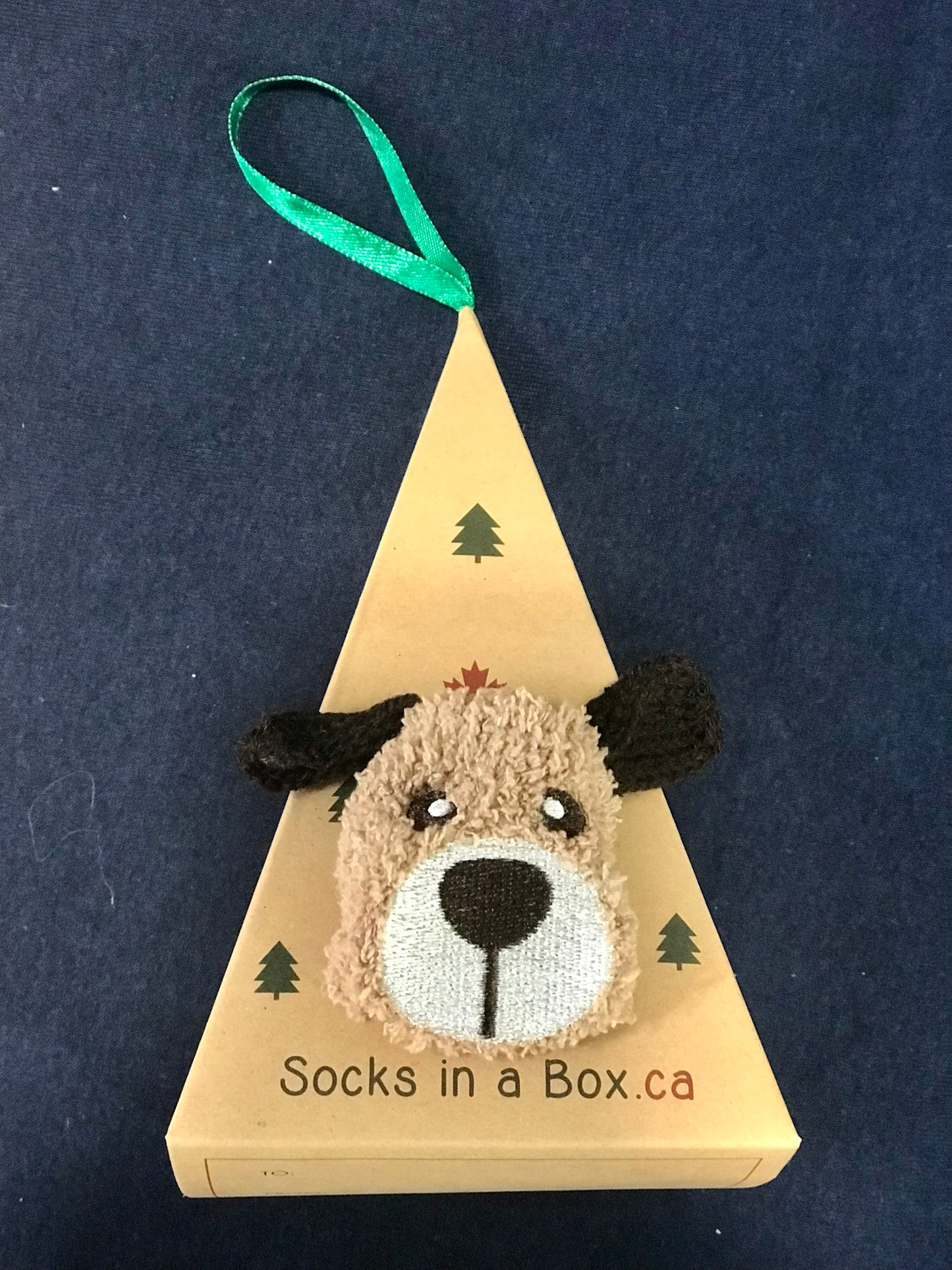 Goofy Dog Socks in a Box