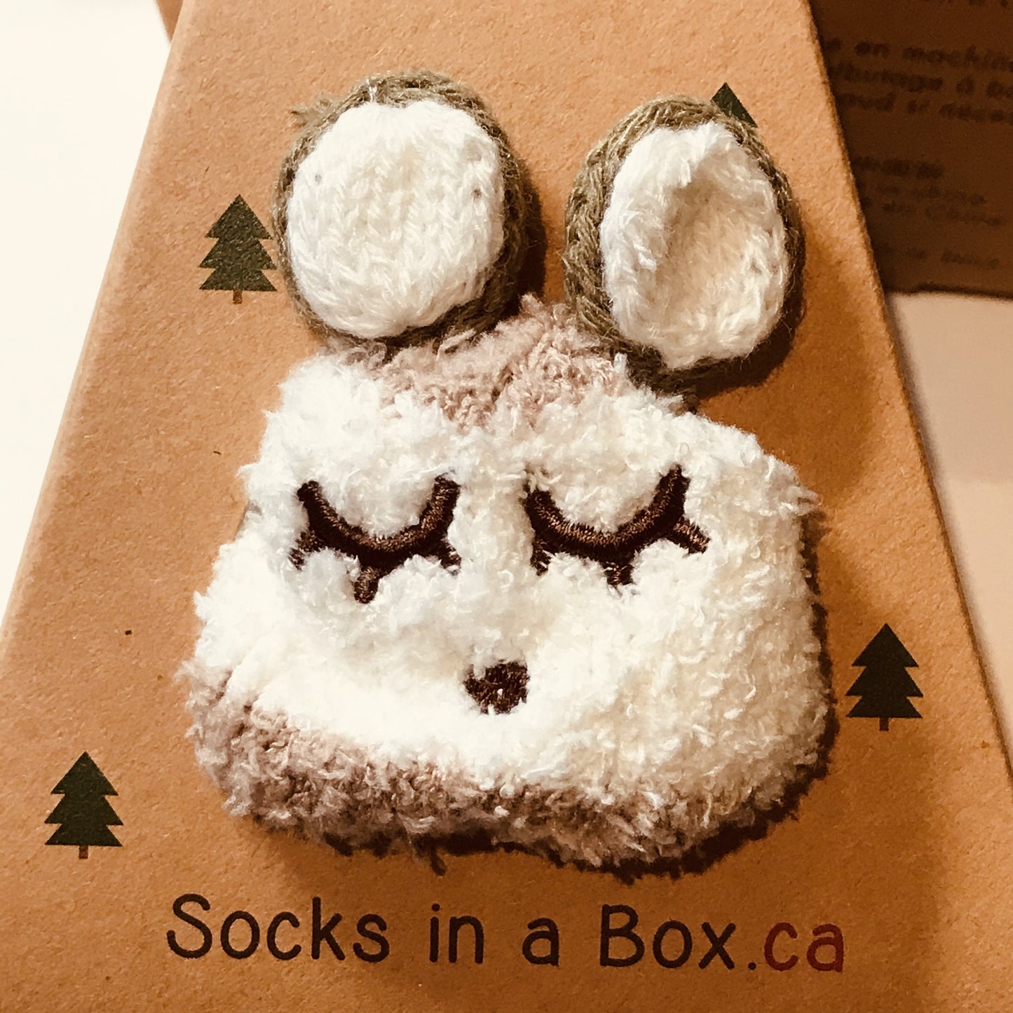 Brown Bear Socks in a Box for Young Children
