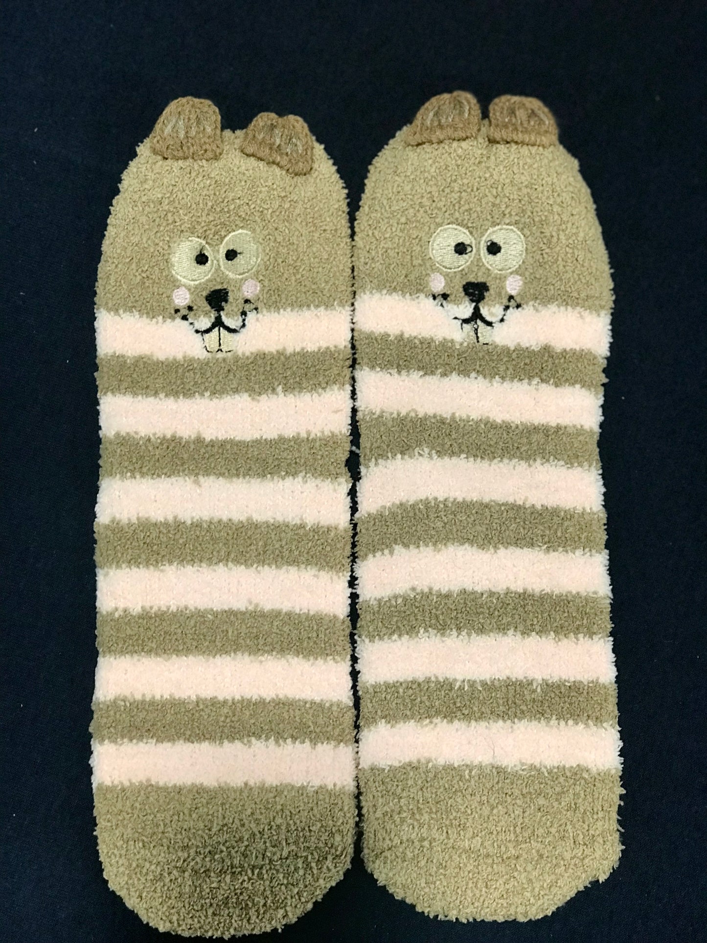 Beaver Socks in a Box