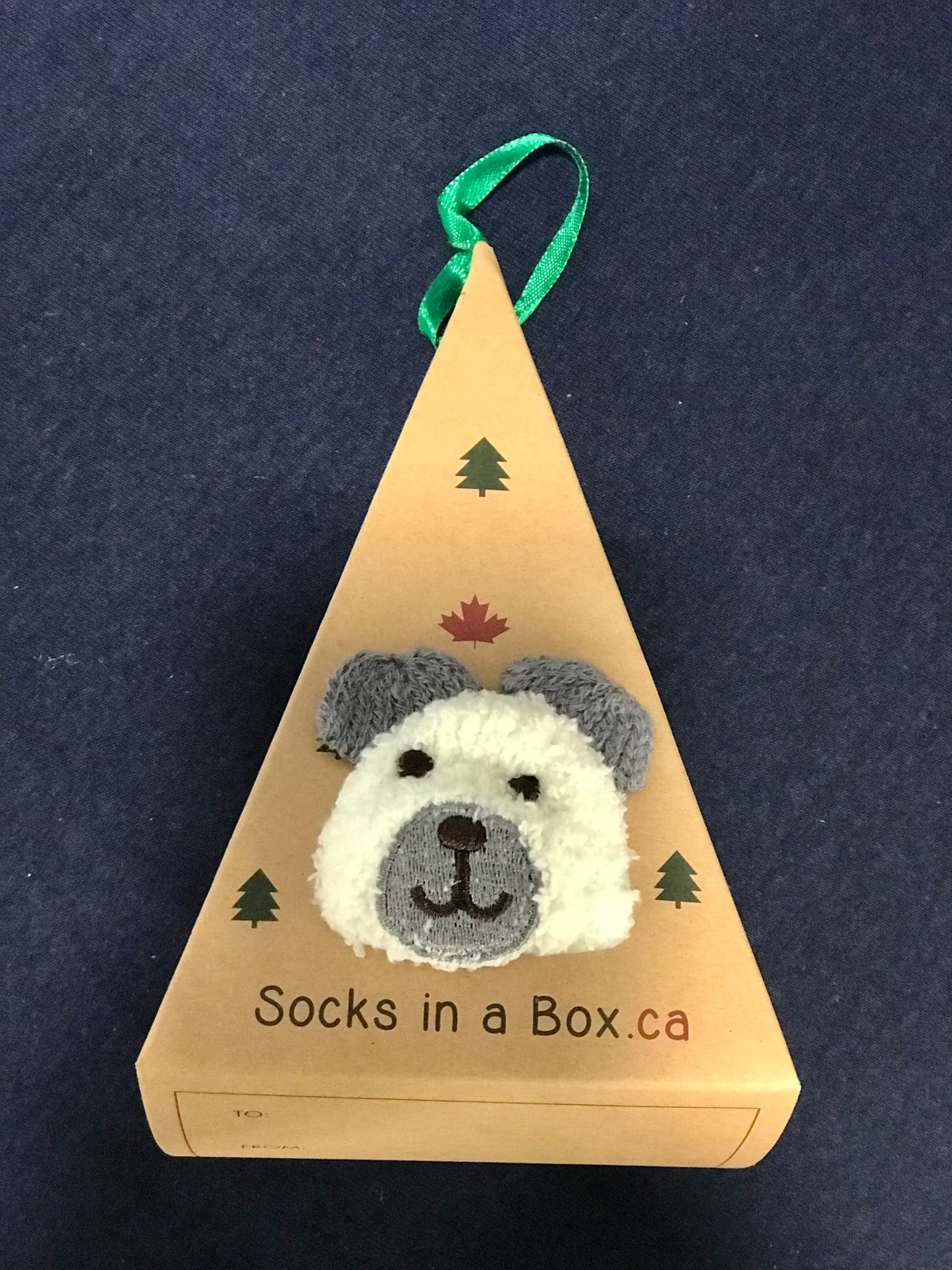 Polar Bear Socks in a Box