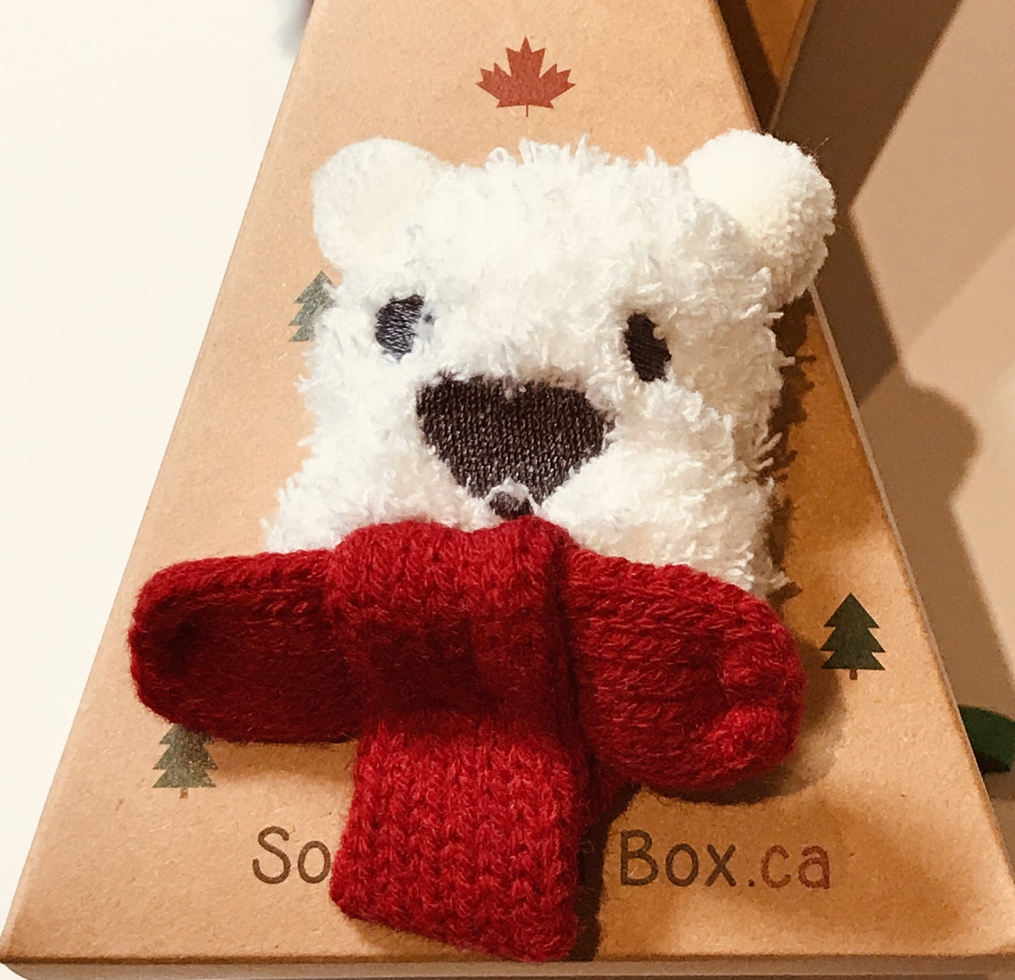 White Bear Socks in a Box for Young Children